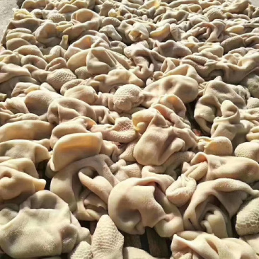 羊净肚