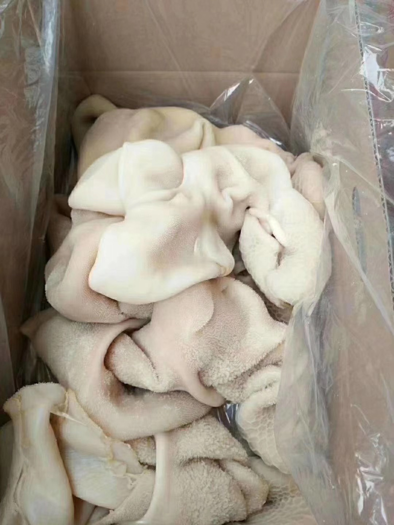 羊净肚
