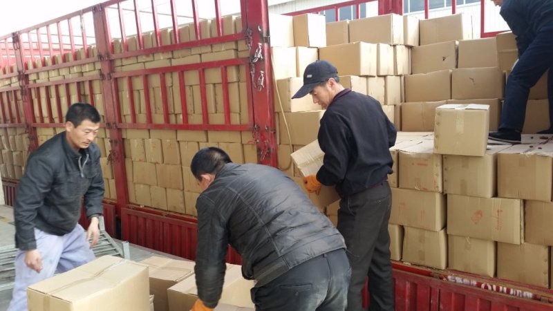 乐陵金丝小枣产地批发货源充足，品质优，