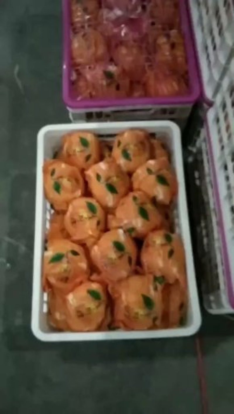 赣南脐橙果园看货采摘，欢迎咨询订购