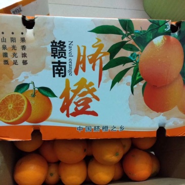 赣南脐橙果园看货采摘，欢迎咨询订购