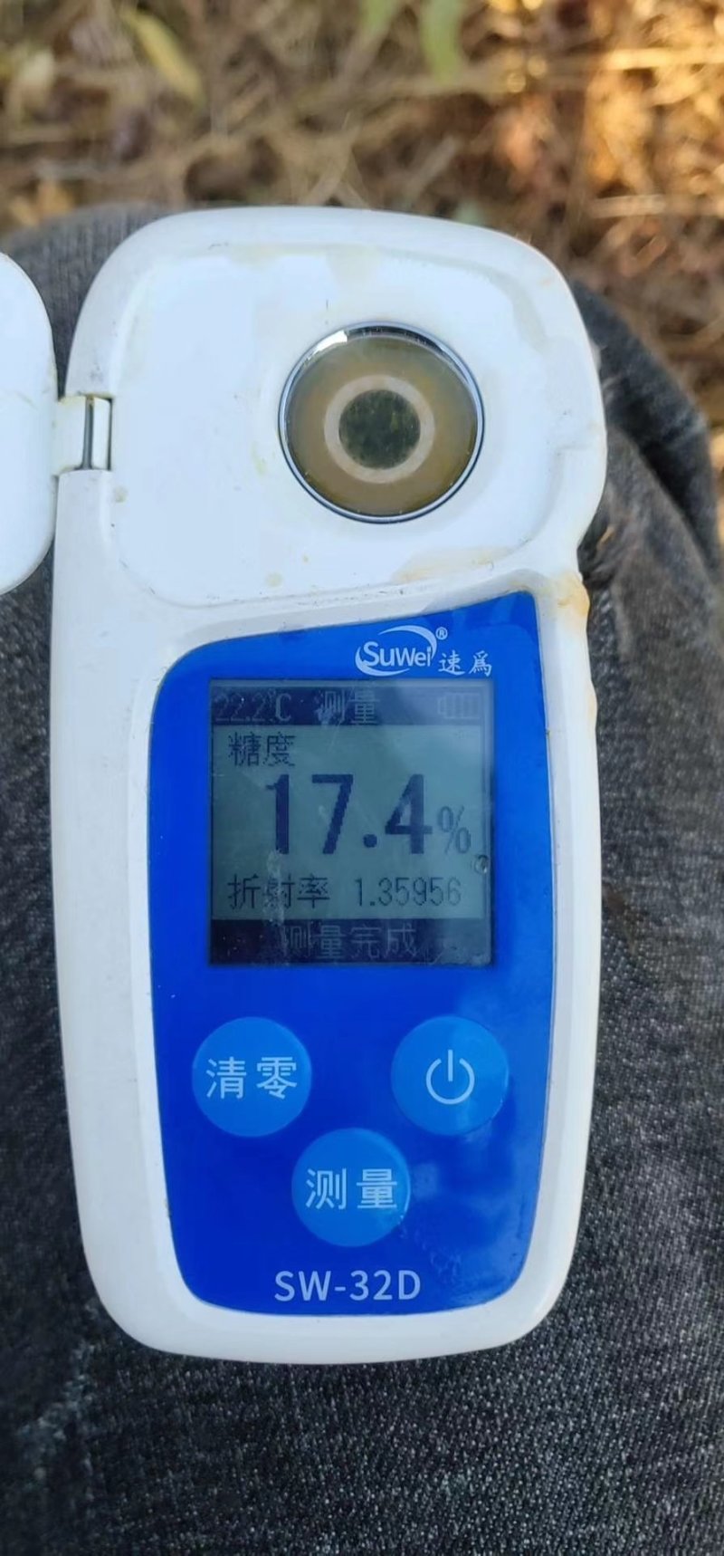 精品冰糖橙产地看货采摘，保质保量欢迎咨询订购