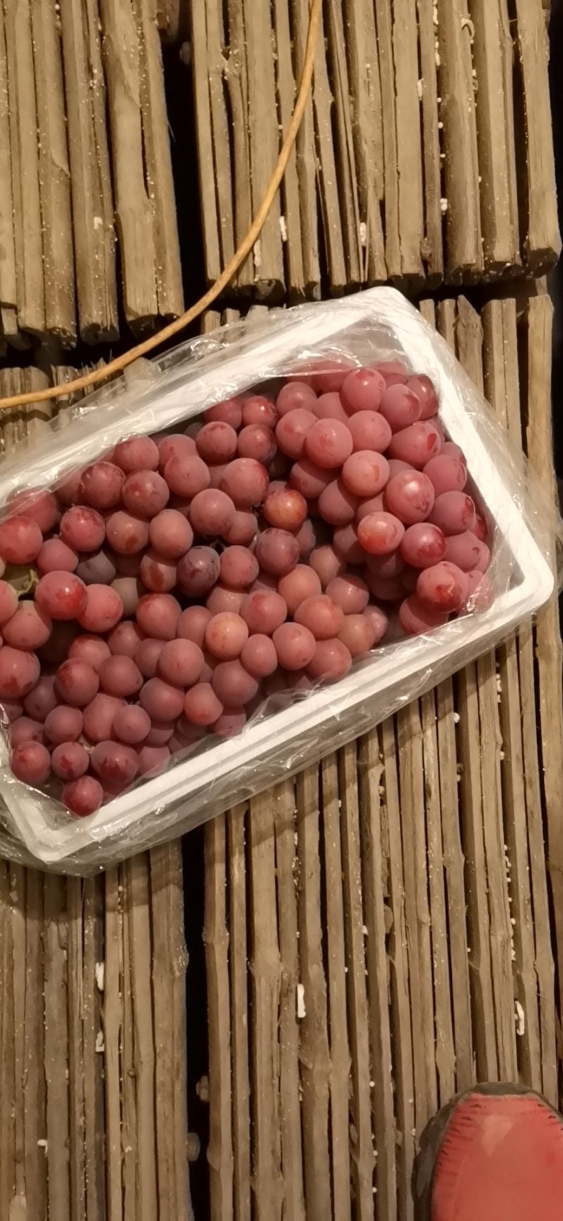 【优选】张家口精品红提葡萄，塑料筐泡沫箱包装常年供应