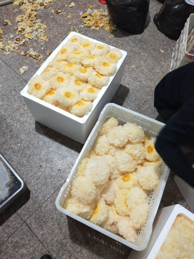 古田鲜银耳一箱6朵包邮按购买数量拍否则不发货谢谢