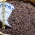 金芽普洱熟茶十年老茶木箱礼盒装500克包邮