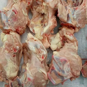新鲜鸡骨架