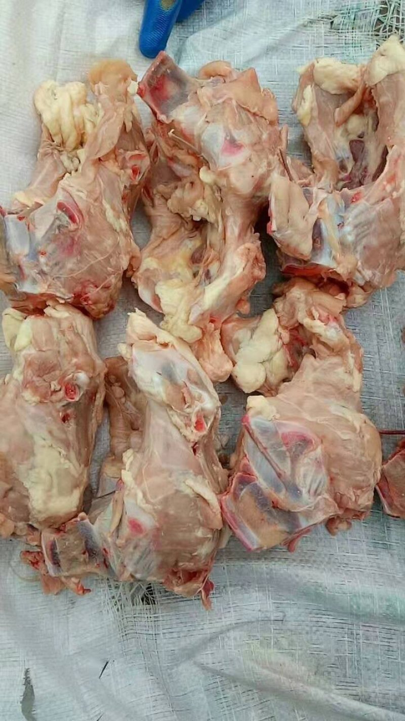 新鲜鸡骨架