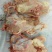 新鲜鸡骨架