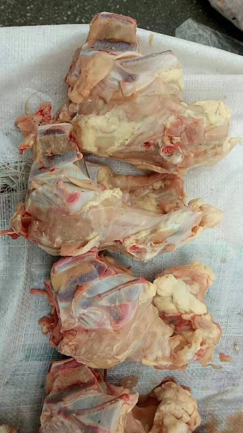 新鲜鸡骨架
