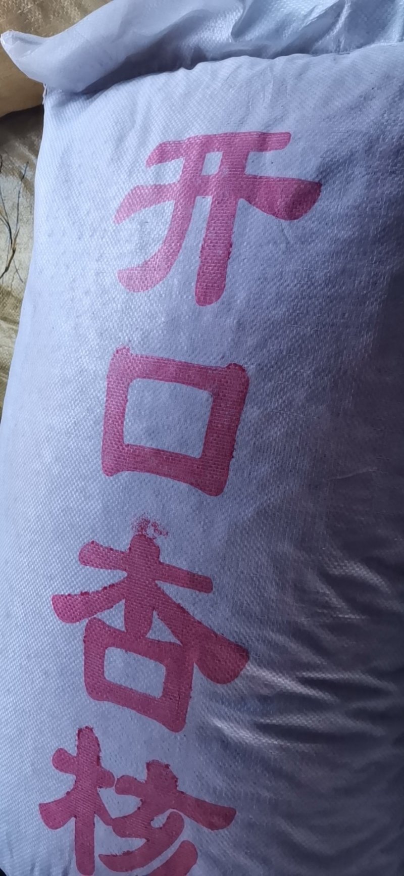 厂家直销批发开口杏核，纯尤一甜杏核，粒粒饱满，香脆可口