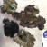 石耳、岩菇、脐衣、石壁花，岩耳，石菌，石花，岩菇，脐衣