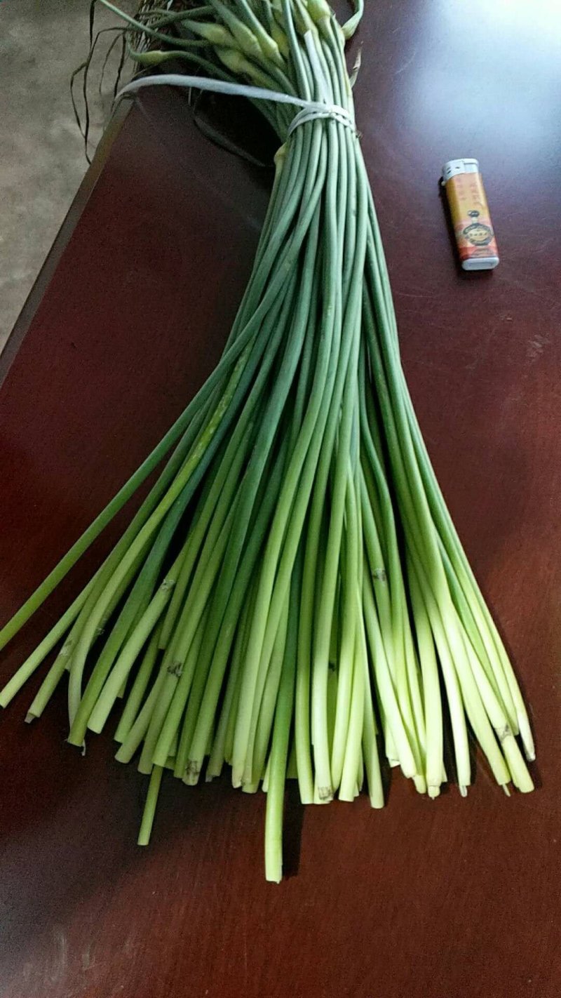 蒜薹。白帽红帽精品加工产地直供一手货源价格便宜