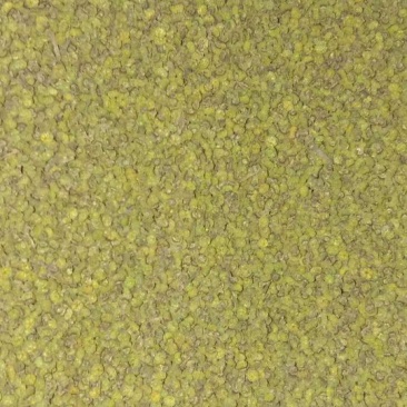 吴茱萸中花