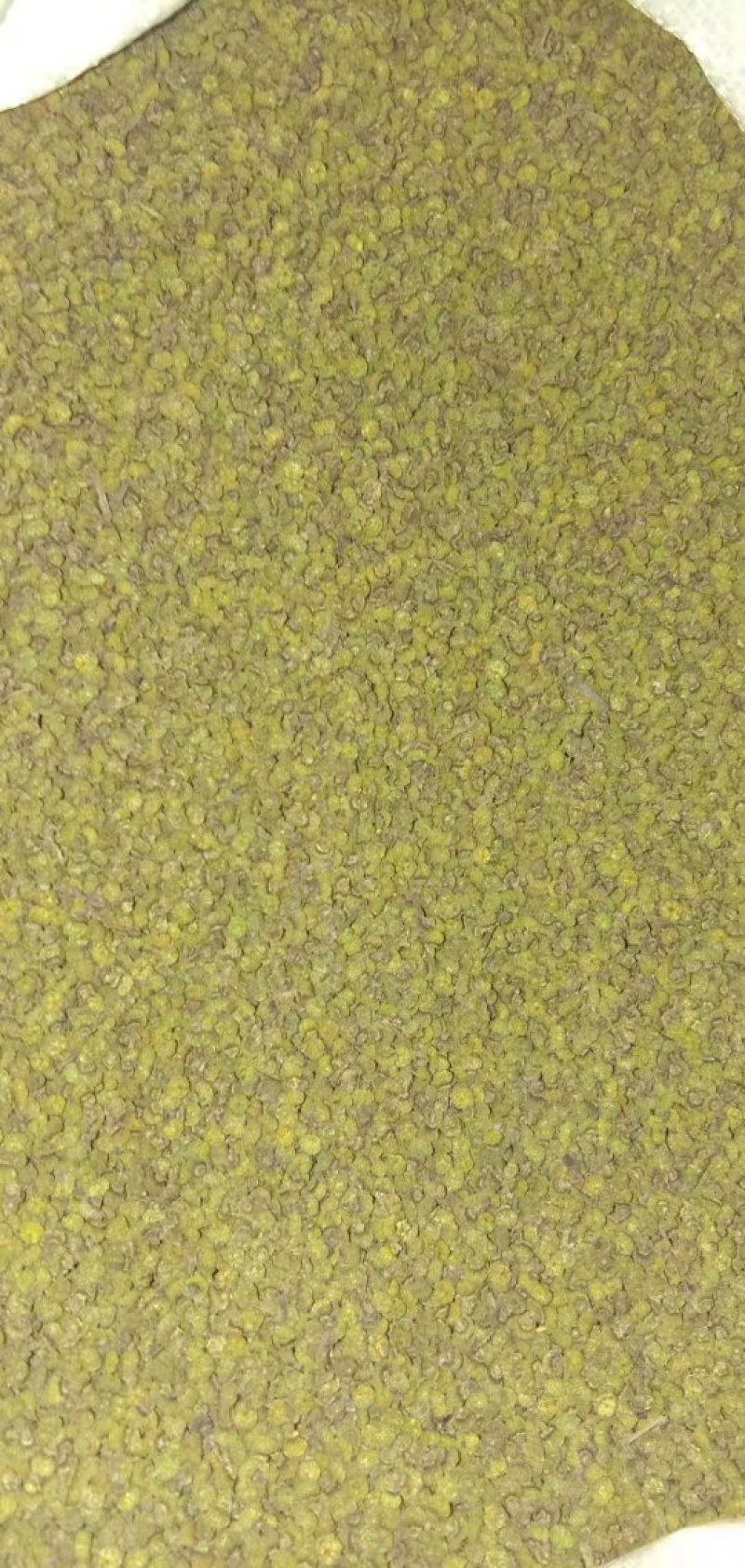 吴茱萸中花