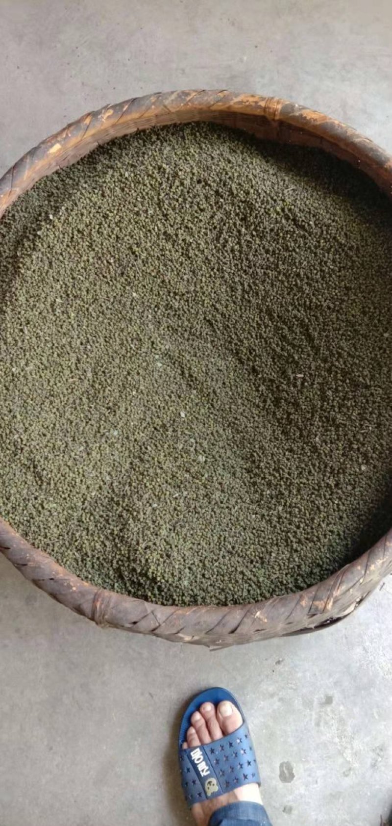 吴茱萸中花