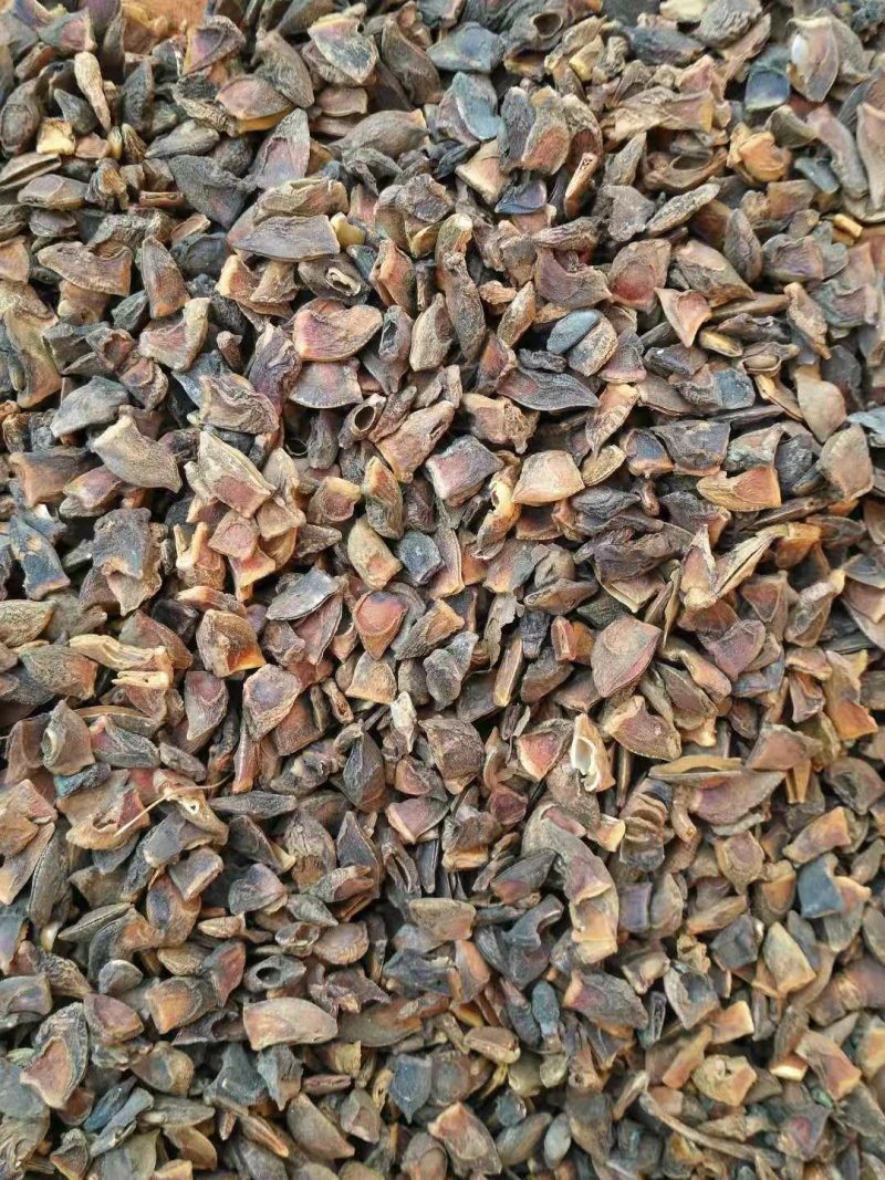 大量大红八角碎片干枝碎片