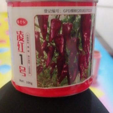 凌红一号