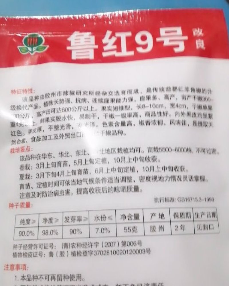 鲁红九号