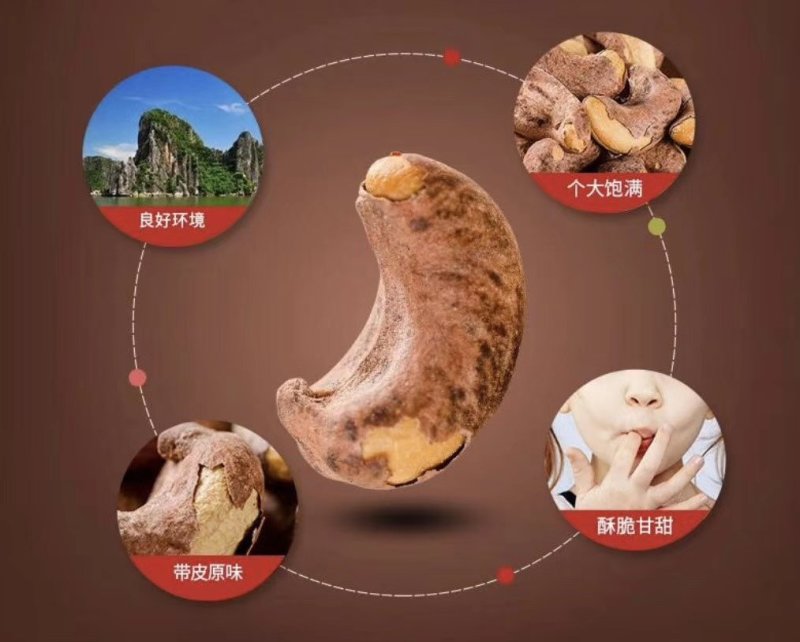 超大腰果A+紫皮腰果1斤1包一件代发价格便宜
