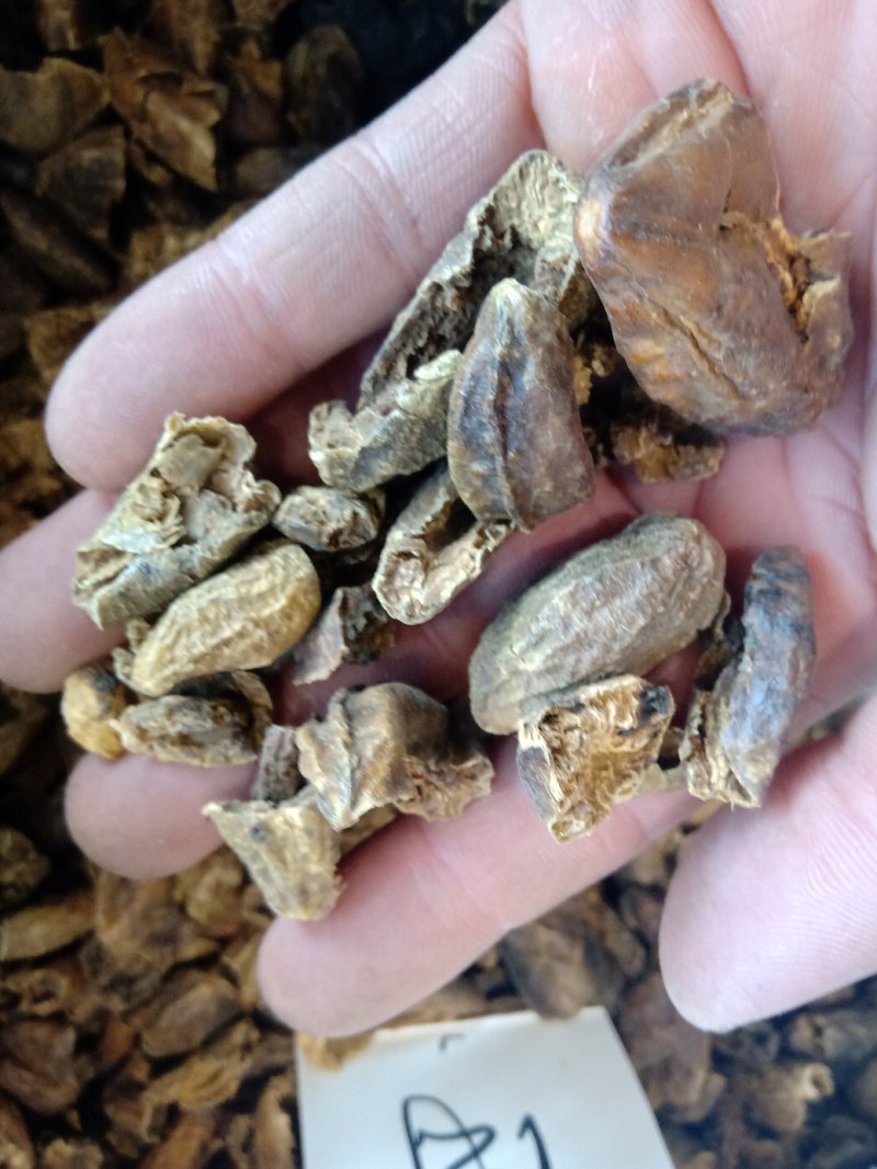 柯子肉1公斤起批不包邮量大电议欢迎咨询各种中药材