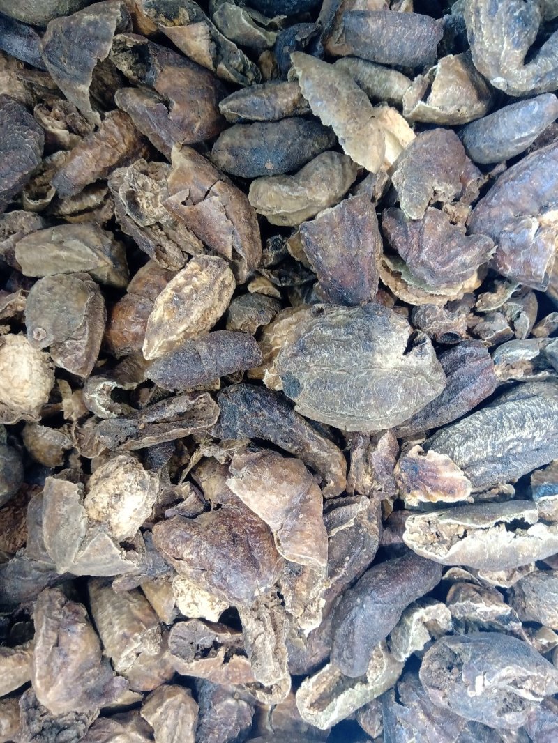 柯子肉1公斤起批不包邮量大电议欢迎咨询各种中药材