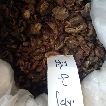 柯子肉1公斤起批不包邮量大电议欢迎咨询各种中药材