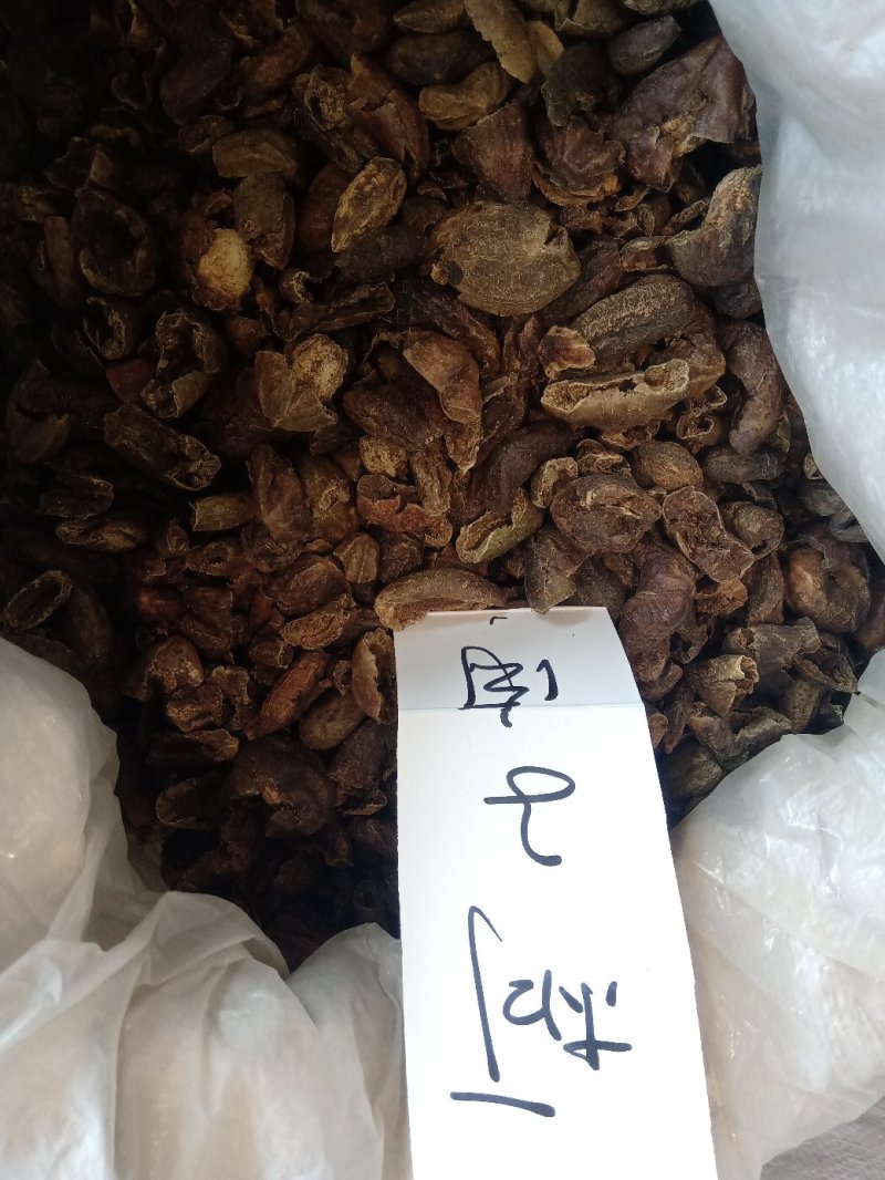 柯子肉1公斤起批不包邮量大电议欢迎咨询各种中药材