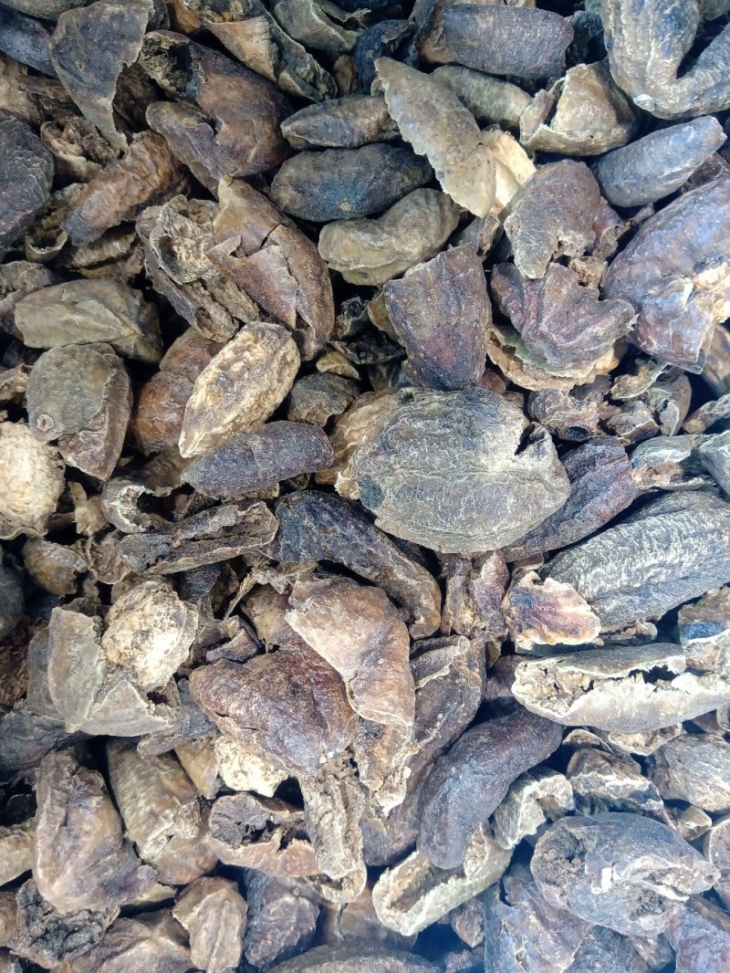 柯子肉1公斤起批不包邮量大电议欢迎咨询各种中药材