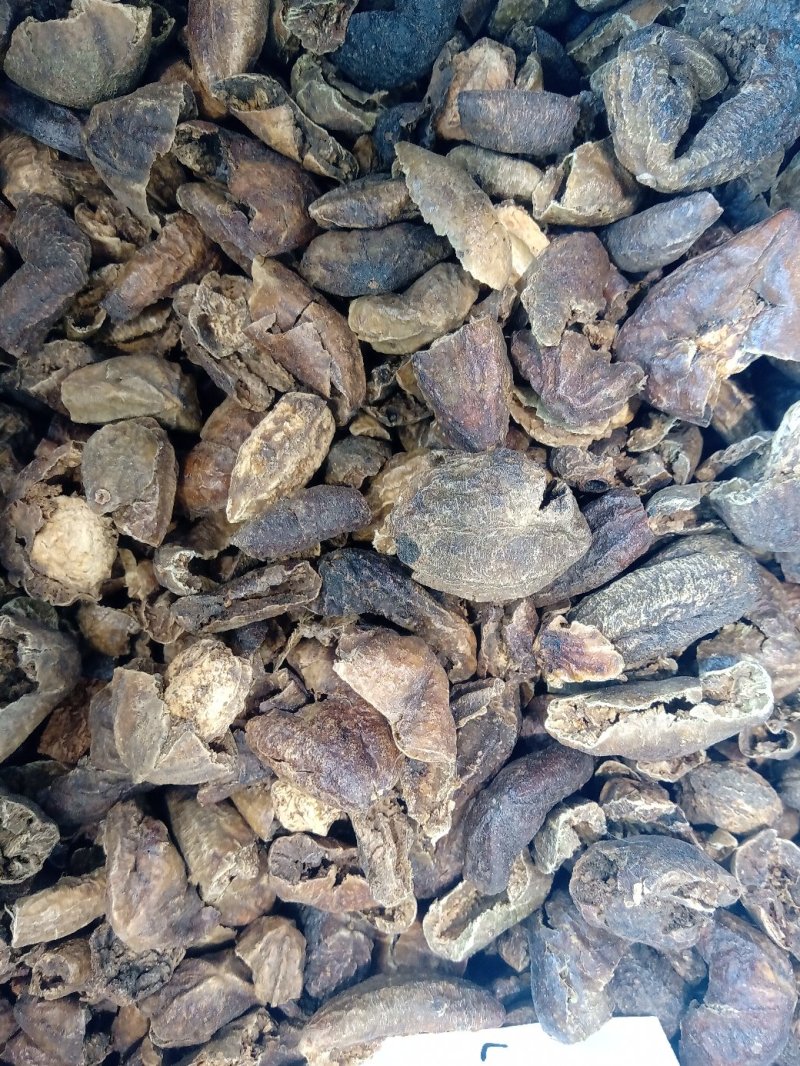 柯子肉1公斤起批不包邮量大电议欢迎咨询各种中药材