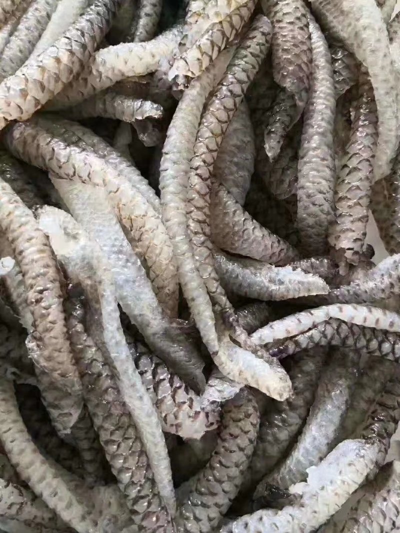 清水鱼皮质量保证价格优势