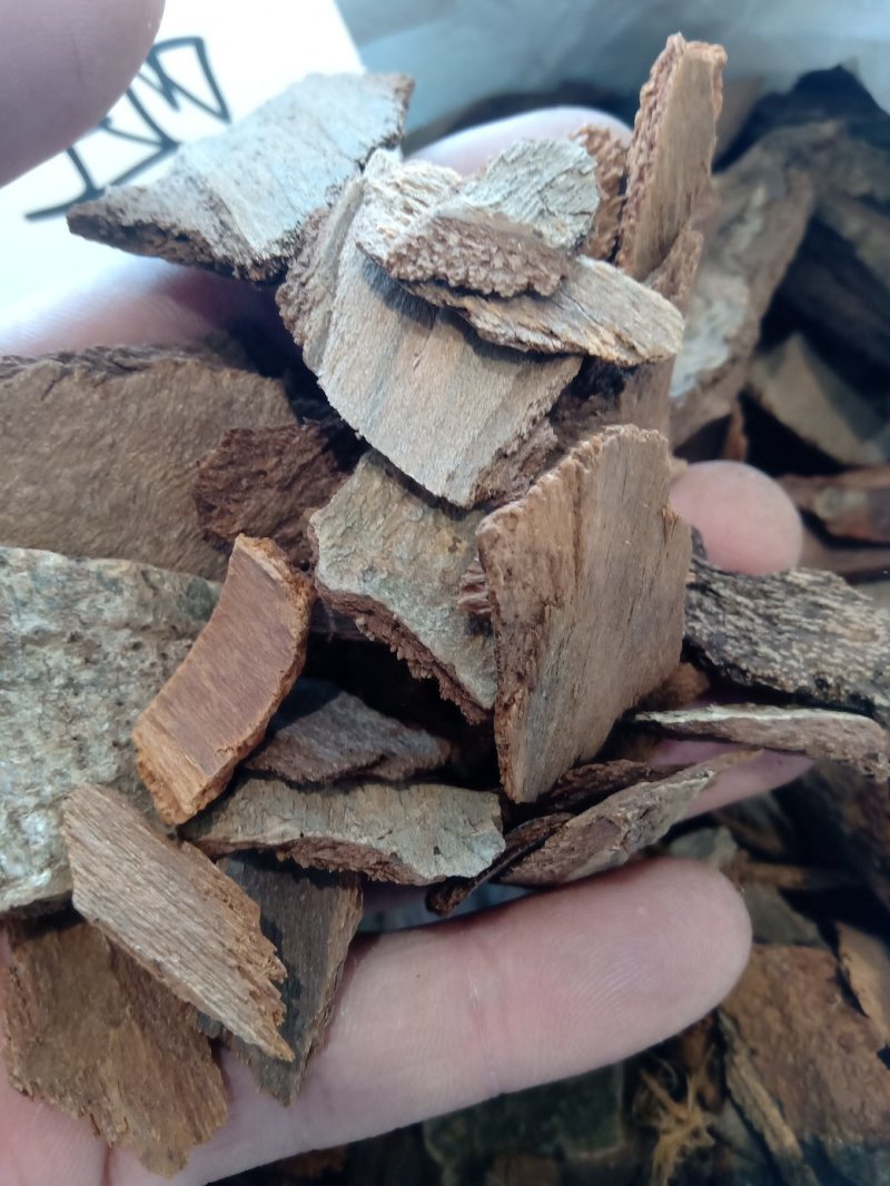 地枫皮1公斤起批不包邮量大电议欢迎咨询各种中药材