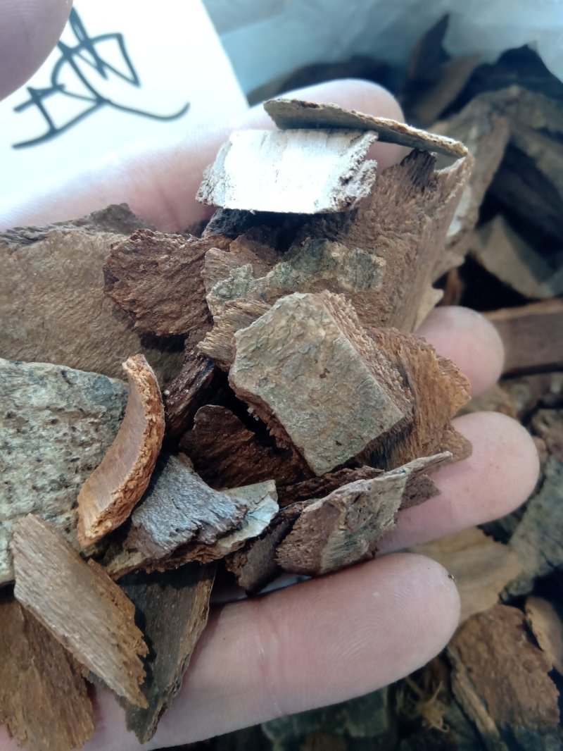 地枫皮1公斤起批不包邮量大电议欢迎咨询各种中药材