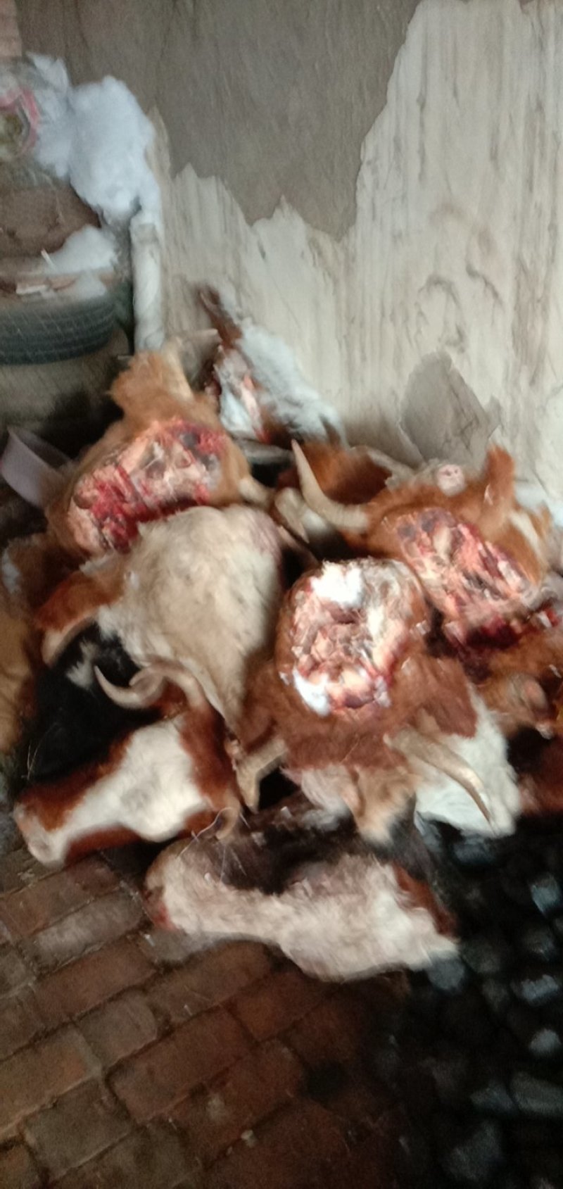 牛头