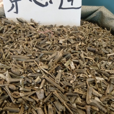 穿心莲1公斤起批不包邮量大电议欢迎咨询各种中药材