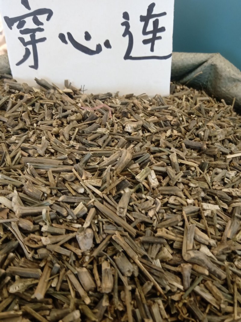 穿心莲1公斤起批不包邮量大电议欢迎咨询各种中药材