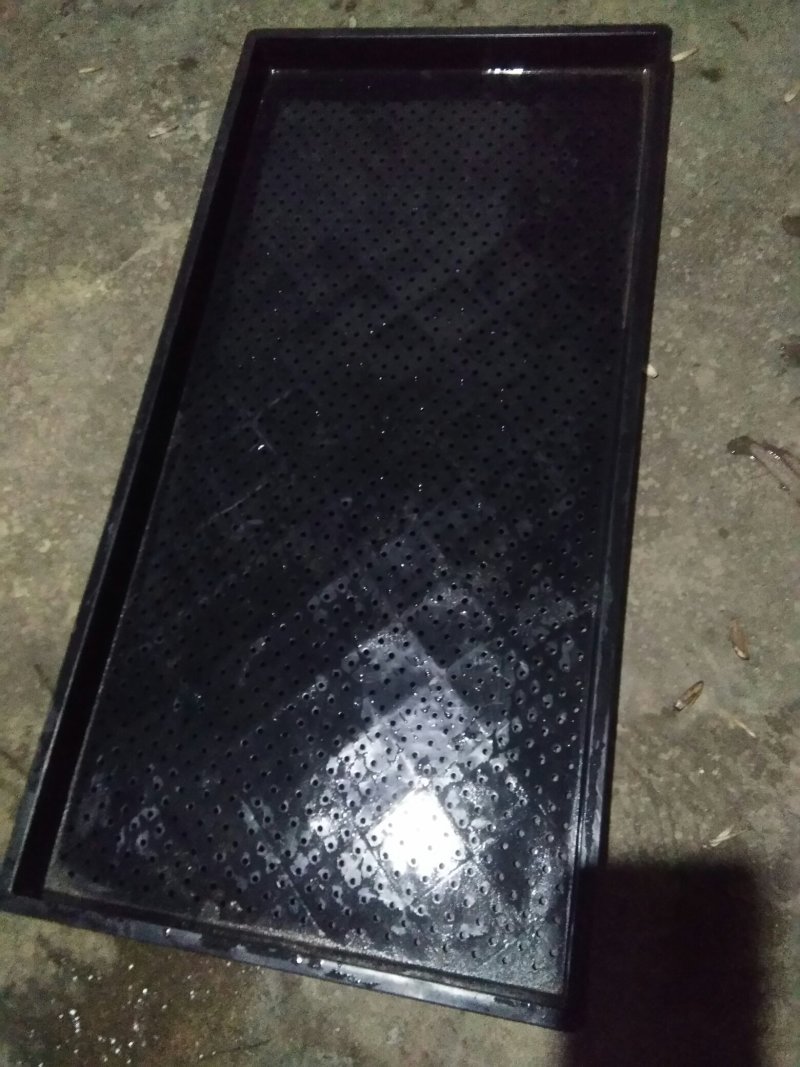 厂家直销豆芽育苗盘，做豆苗的好帮手