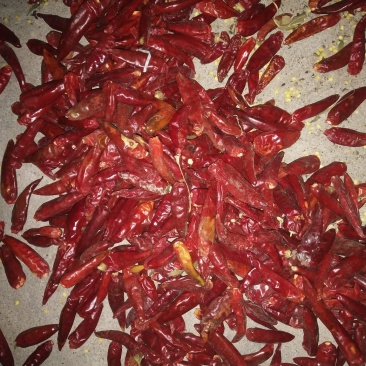 花皮干辣椒，高辣，中辣，香辣，品种，全部上市。