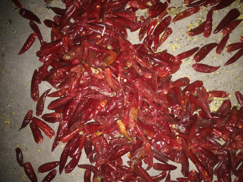 花皮干辣椒，高辣，中辣，香辣，品种，全部上市。