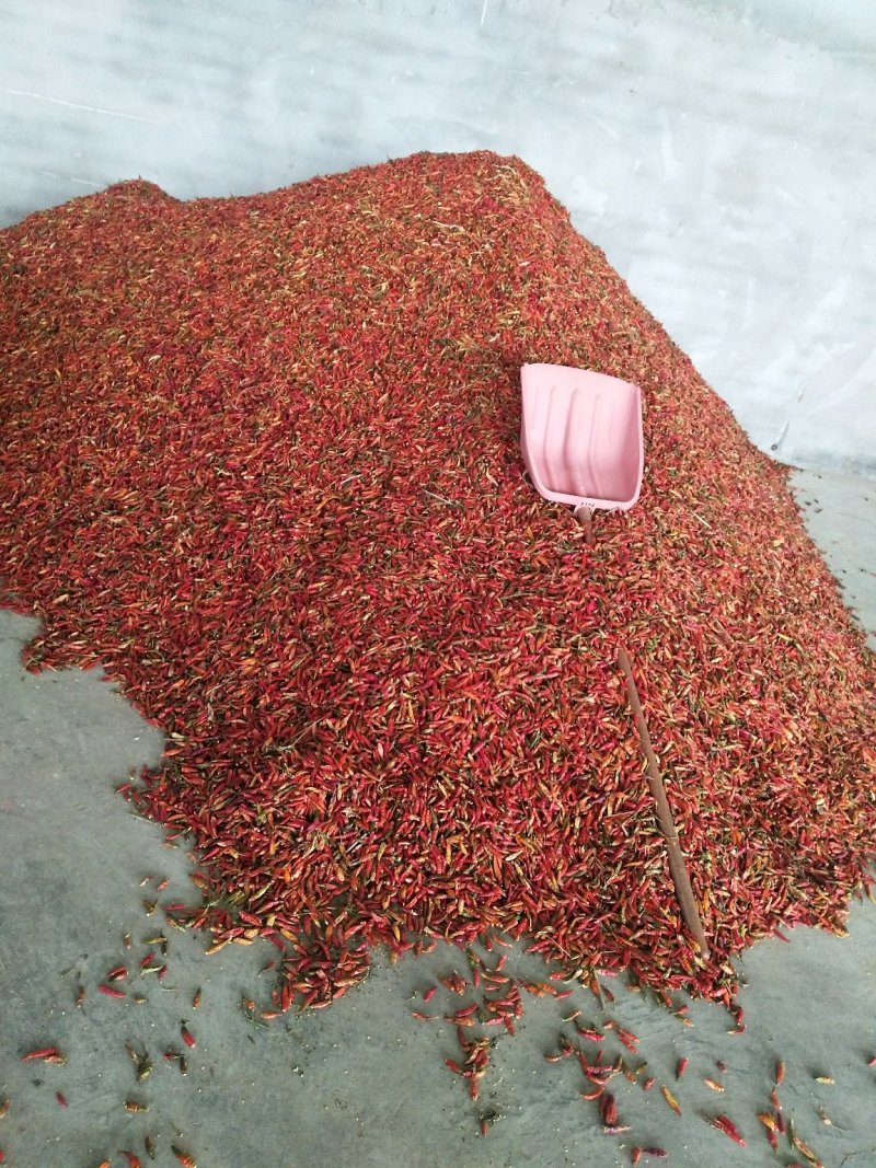花皮干辣椒，高辣，中辣，香辣，品种，全部上市。