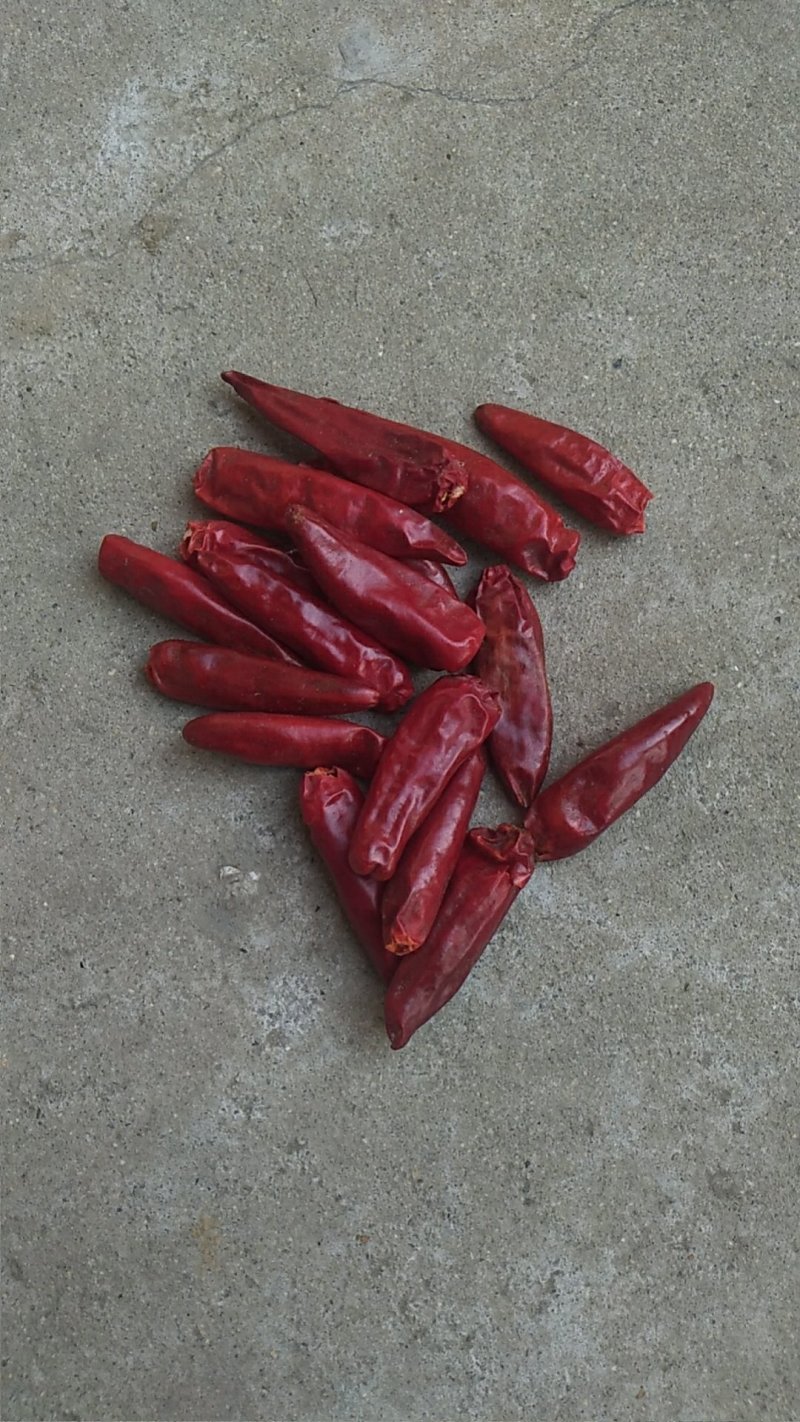 花皮干辣椒，高辣，中辣，香辣，品种，全部上市。