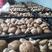 鲜香菇卢氏808香菇4.5以上光面菇花菇剪脚冬菇花菇营养