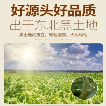 笨炸豆油非转基因自产自销农家黄豆笨榨豆油，