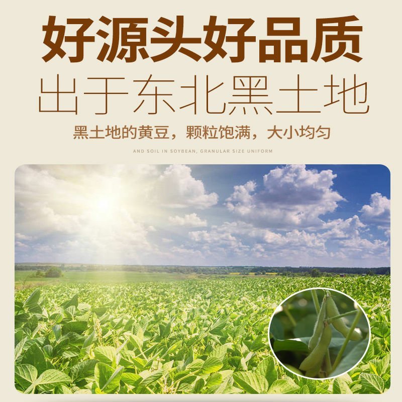 笨炸豆油非转基因自产自销农家黄豆笨榨豆油，