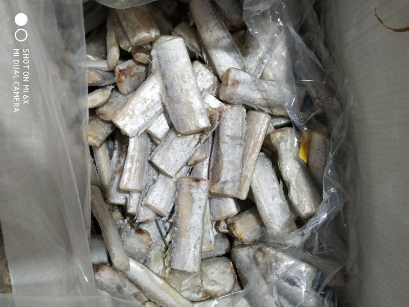 鲜冻刀鱼段规格齐全，价格便宜量大优惠10箱起批不包邮