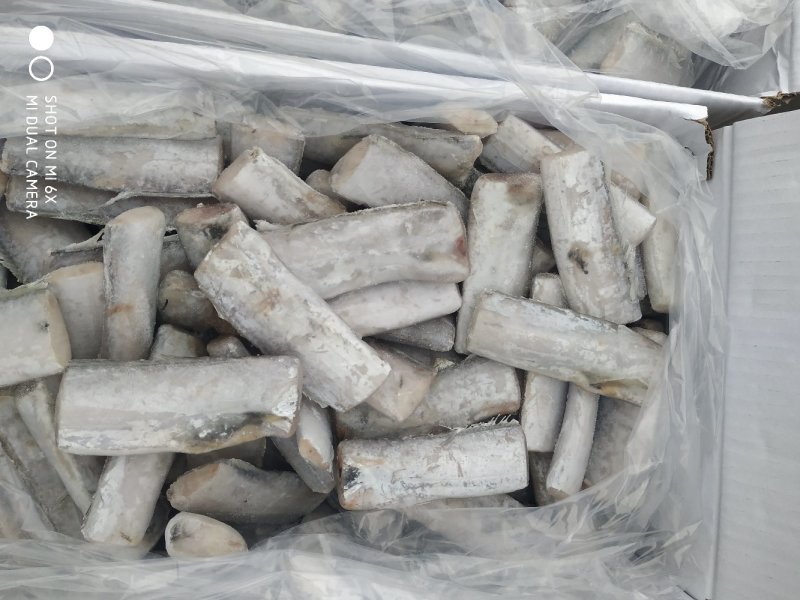 鲜冻刀鱼段规格齐全，价格便宜量大优惠10箱起批不包邮