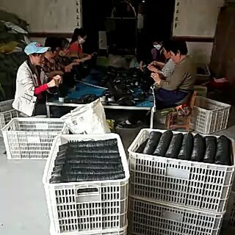 河南大姐嫁山东，自产自销营养杯走哪里卖哪里江浙地区量大可