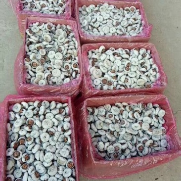 万荣柿饼历史悠久，物美价廉，欢迎订购。