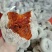 万荣柿饼历史悠久，物美价廉，欢迎订购。