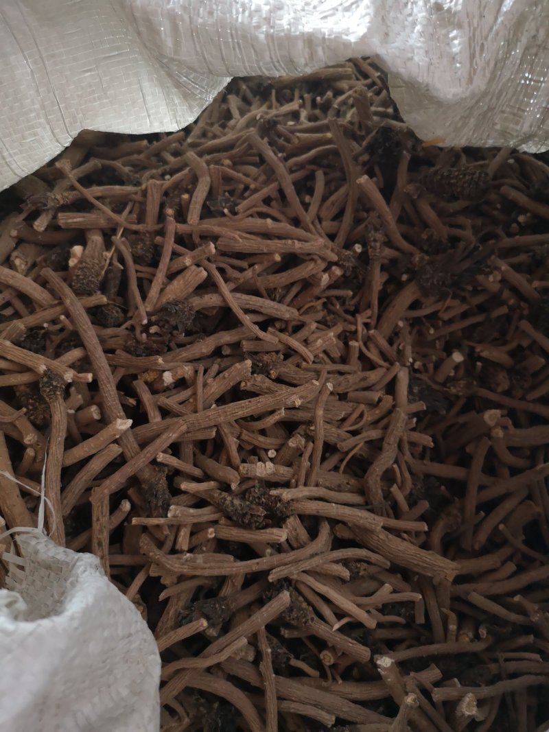 板蓝根