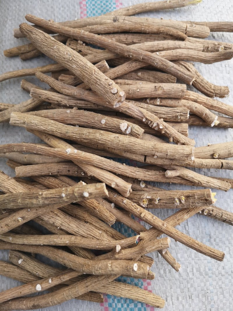 板蓝根
